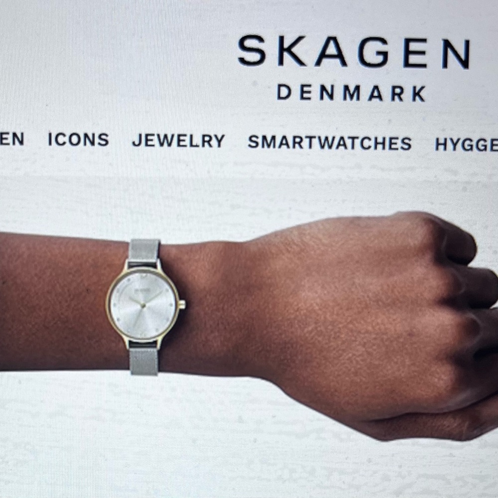 Skagen Anita Lille Two-toned Steel Mesh Watch